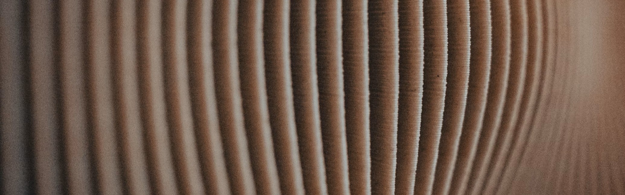 Image: UnSplash @syinq